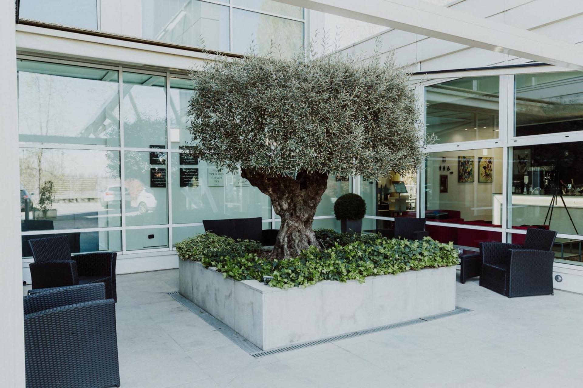 Hotel Carpi
